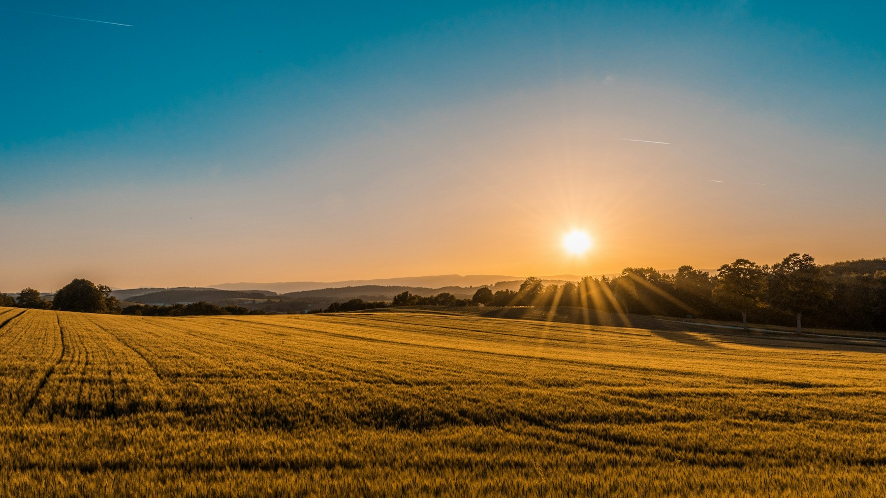 Open green countryside with rolling fields and a tree lined horizon